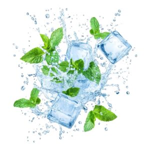 ice-flavour-concentrates